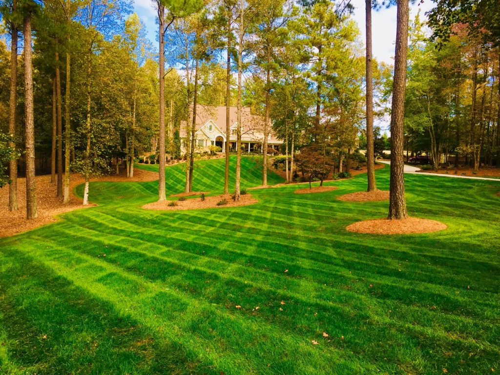 Landscaping in Cumming, GA