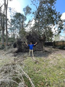 Landscaping in Cumming, GA