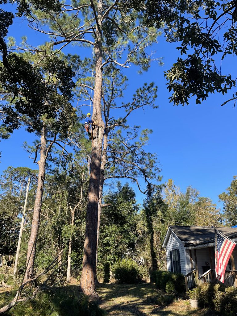 Landscaping in Cumming, GA