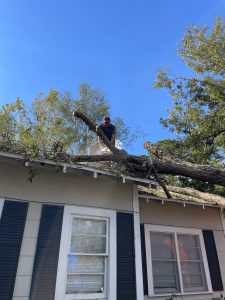 Landscaping in Cumming, GA