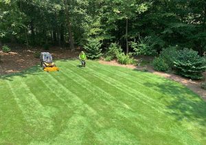 Landscaping in Cumming, GA