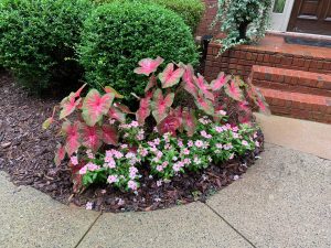 Landscaping in Cumming, GA