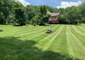 Landscaping in Cumming, GA