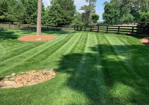 Landscaping in Cumming, GA