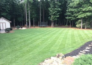 Landscaping in Cumming, GA