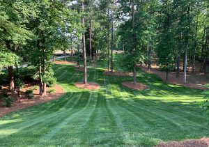 Landscaping in Cumming, GA