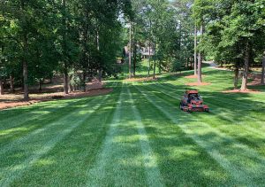 Landscaping in Cumming, GA